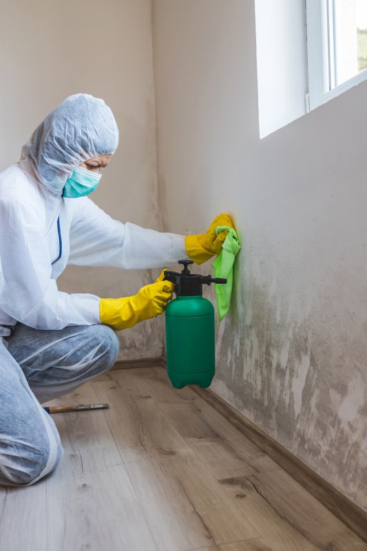 Water Damage and Mold Prevention